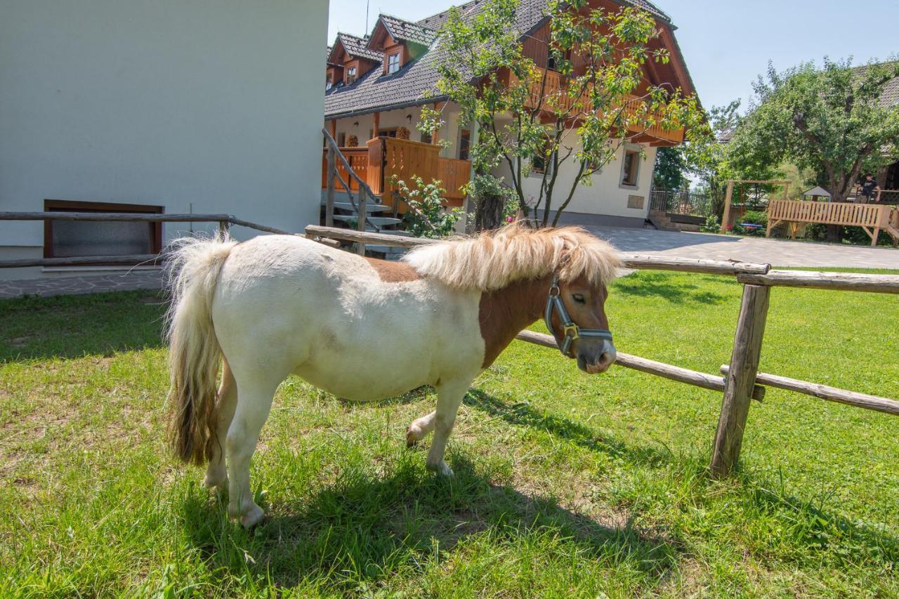 Tourist Farm Pri Biscu Bauernhof
